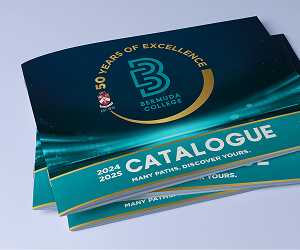 BRA Online Catalogue